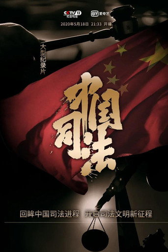 中国司法海报
