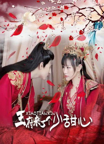 王府来了一个小甜心海报