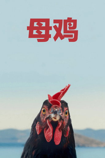 母鸡海报