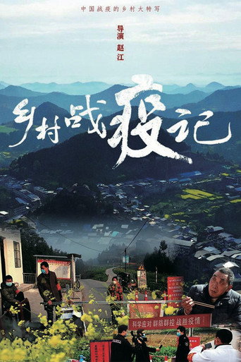 乡村战疫记海报