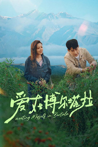 爱在博尔塔拉海报