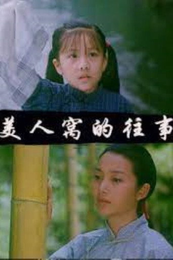 美人窝的往事海报