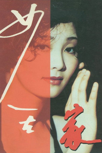 女人在家海报