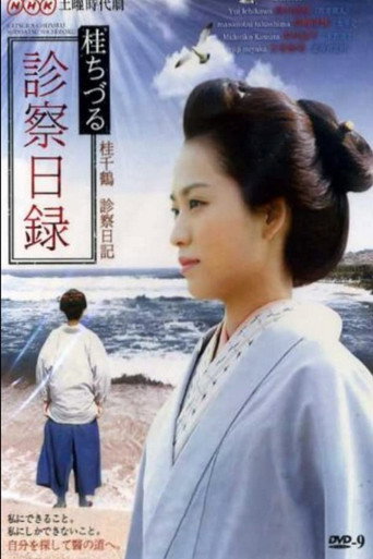 桂千鹤诊察日记海报