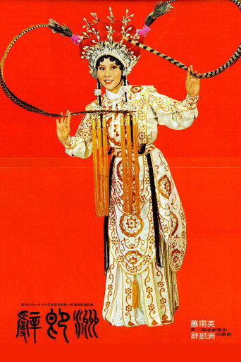 辞郎洲海报
