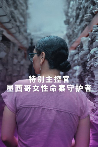 特别主控官:墨西哥女性命案守护者海报
