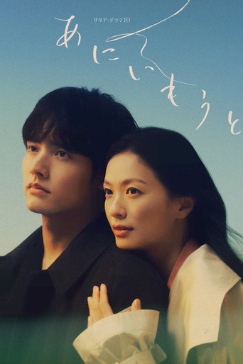 兄妹海报