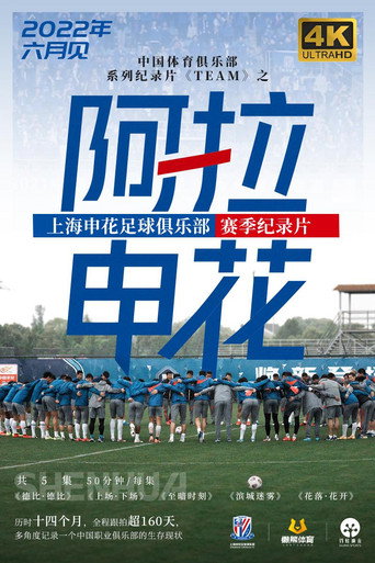 阿拉申花海报
