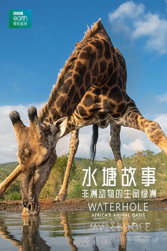 水塘故事:非洲动物的生命绿洲海报