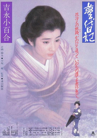 梦千代日记海报