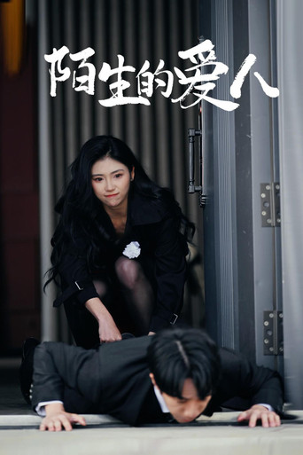陌生的爱人海报