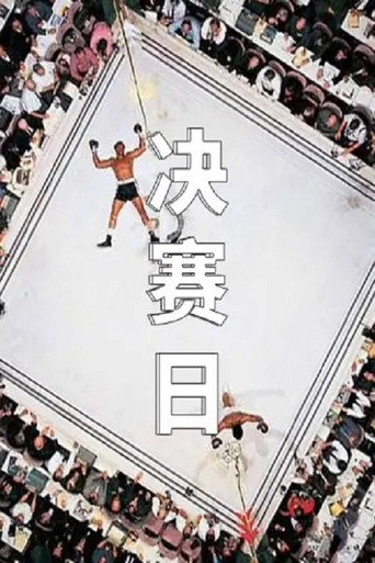 决赛日海报