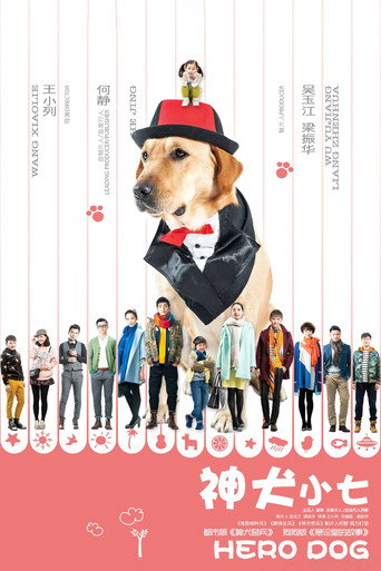 神犬小七 第 1 季海报