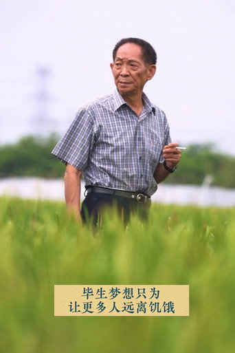 杂交水稻之父袁隆平海报