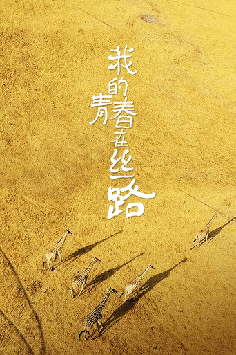 我的青春在丝路海报