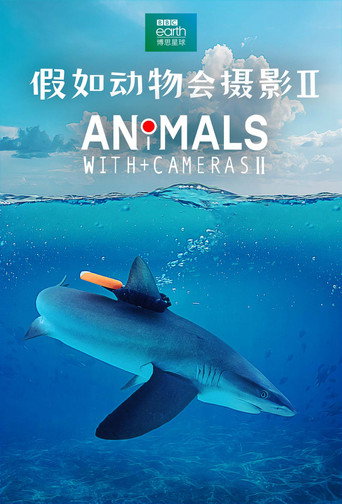 假如动物会摄影 第 2 季海报