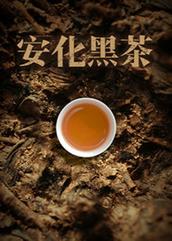 安化黑茶海报