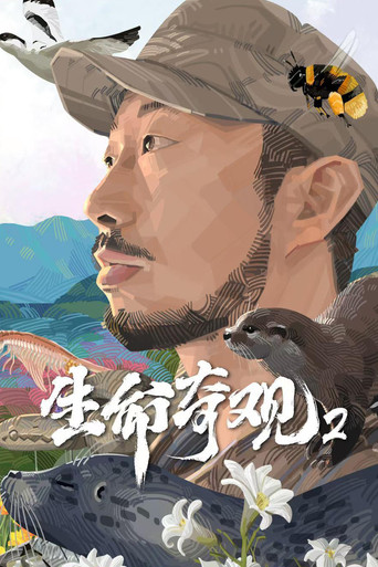 生命奇观 第 2 季海报