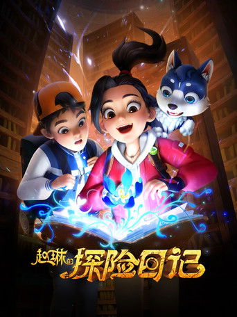 赵琳的探险日记海报