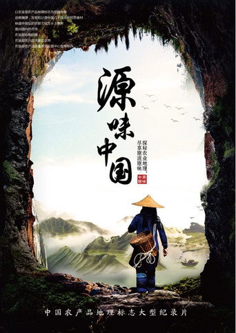 源味中国海报