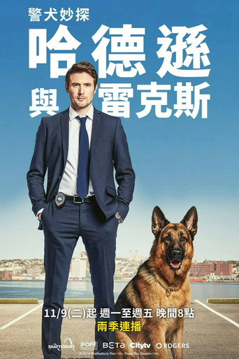 哈德森与雷克斯海报