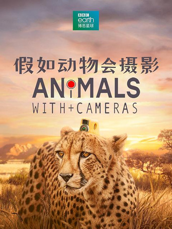 假如动物会摄影 第 1 季海报
