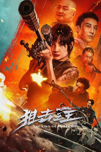 狙击之王:暗杀海报