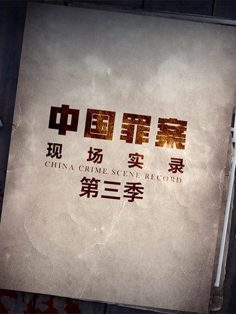 罪案现场实录 第 3 季海报