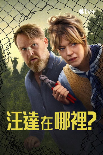 旺达在哪里?海报