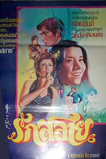 春天里的秋天海报