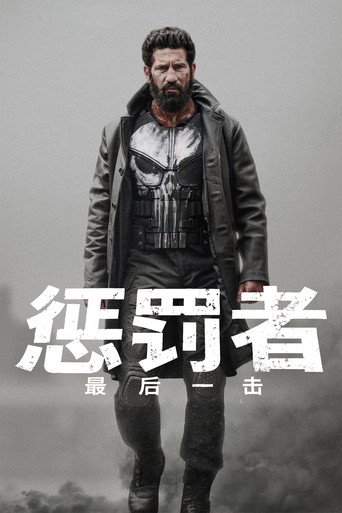 惩罚者:最后一击海报
