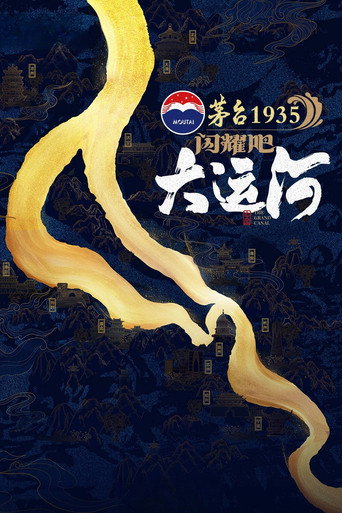 闪耀吧!大运河海报