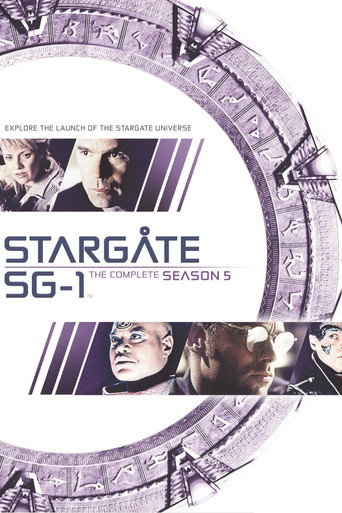 星际之门:SG-1 第 5 季海报