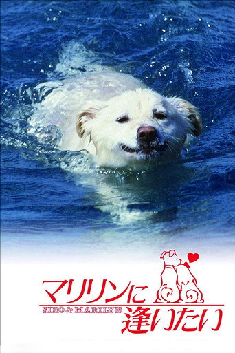 想见玛丽琳海报