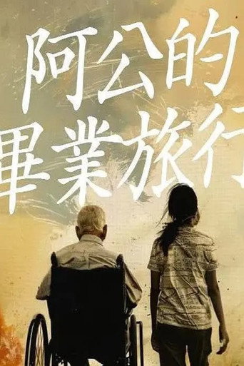 阿公的毕业旅行海报