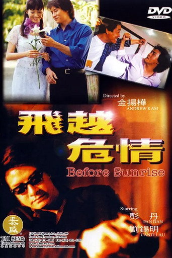 飞越危情海报