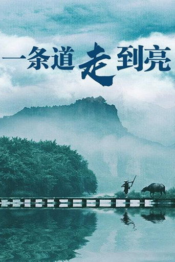 一条道走到亮海报