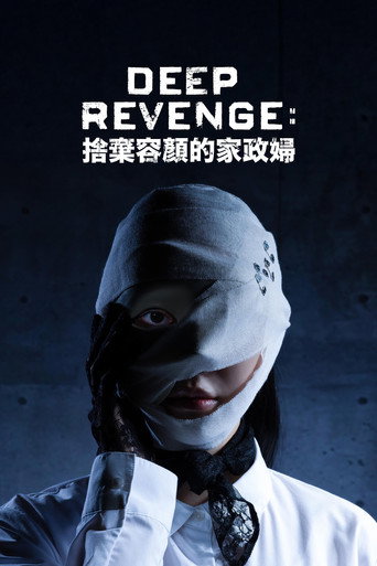 极致复仇:舍弃面容的家政妇海报