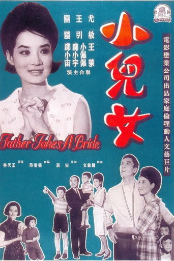 小儿女海报