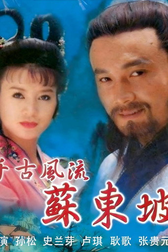 千古风流苏东坡海报