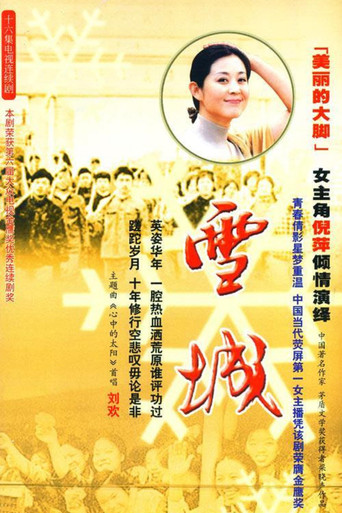 雪城海报