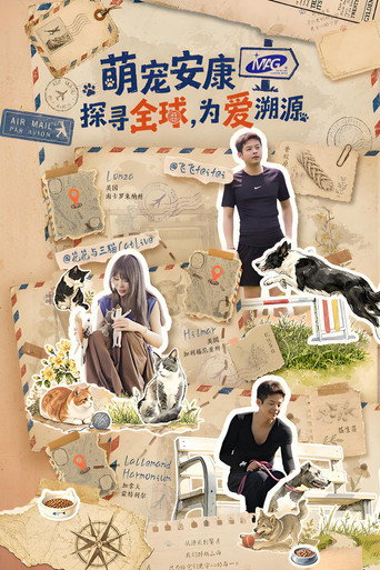 探寻全球,为爱溯源海报