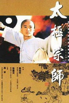 太极宗师海报