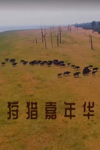 狩猎嘉年华海报