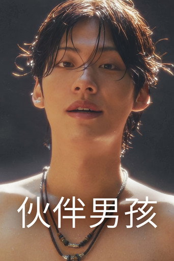 伙伴男孩 伙伴男孩海报