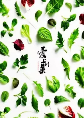 爱上川菜海报