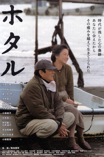 萤火虫海报