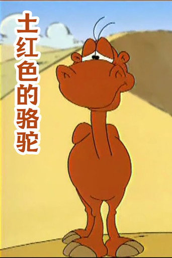 土红色的骆驼海报