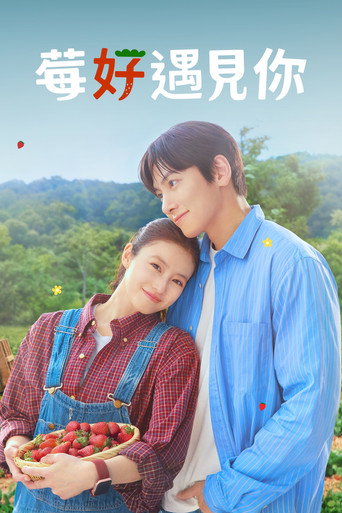 莓好遇见你海报
