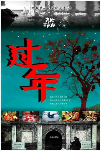 过年 第一季海报